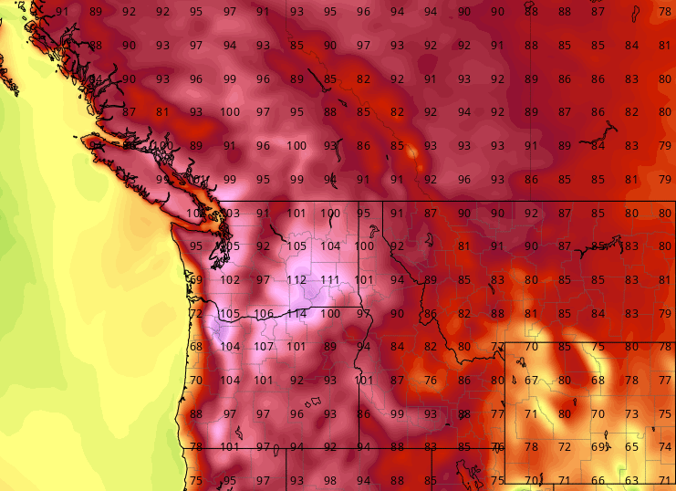 Heatwave Kills 486 in British Columbia, Shatters Records<strong class=